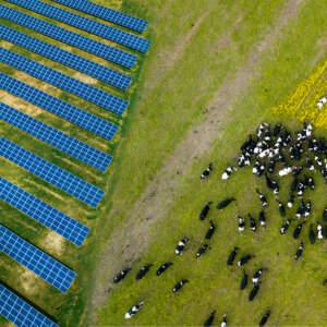 Solceller för lantbruk och jordbruk. Ecotech solenergi hjälper er genom hela processen.